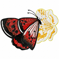 Butterfly Embroidery Design 8 Butterfly Embroidery Design 8